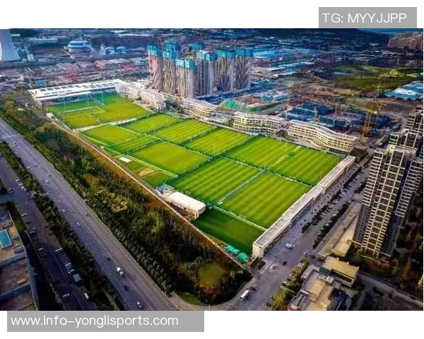 足球场比例解析与设计原则探讨助力青少年足球发展与场地建设